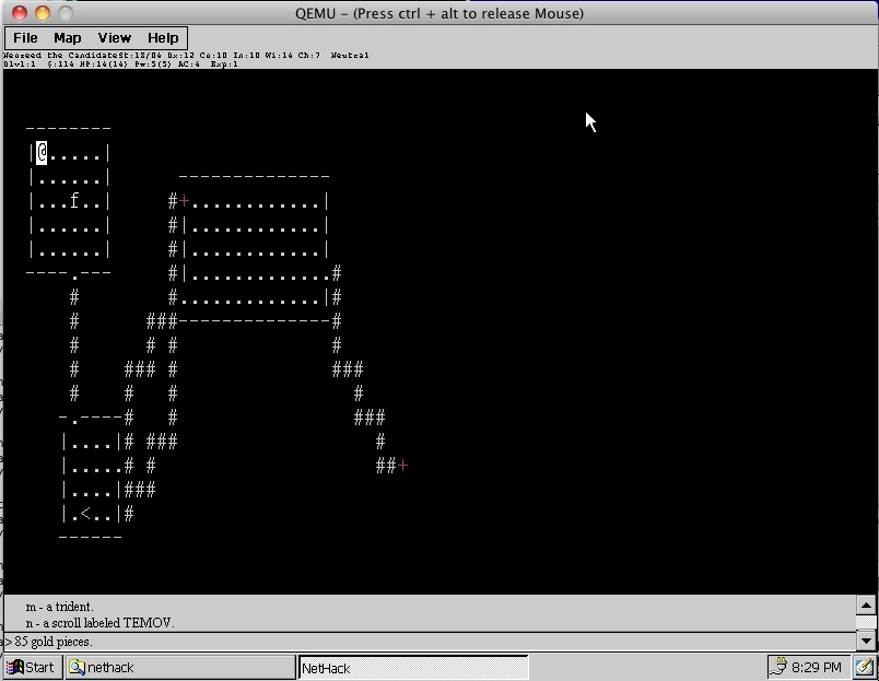 Nethack on CE text