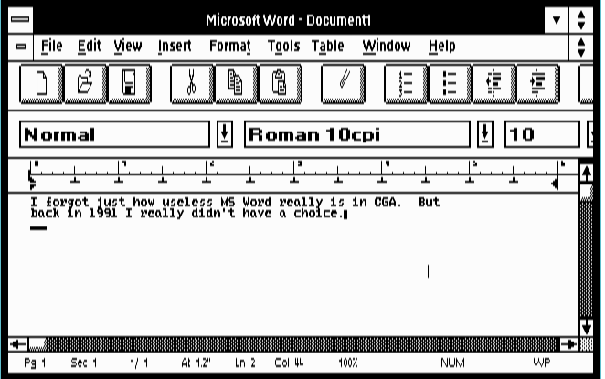MS Word 2.0